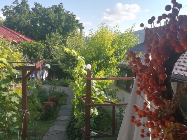 Casa 4 camere - Copou